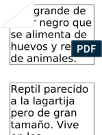 Animales Del Crucigrama