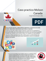 Caso Practico Molson Canada
