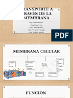 Transporte A Través de La Membrana