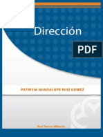 Direccion.pdf