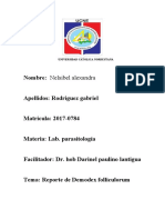 Demodex folliculorum reporte