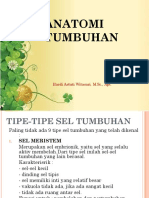 Anatomi Tumbuhan PDF