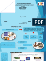 Mapa Mental Derecho Agrario