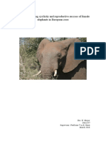 Factors Influencing Cyclicity and Reproductive Success of Female Elephants in European Zoos