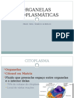 Aula 8 - Organelas Celulares PDF