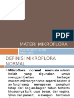 Mikroflora