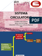 14 Semana - Sistema Circulatorio