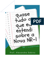 Nova NR 1 Comentada - Josiane do Socorro Q. de Souza.pdf