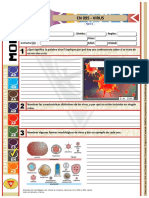 EN-095 Virus PDF