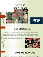 Seminario de Hongos y Levaduras