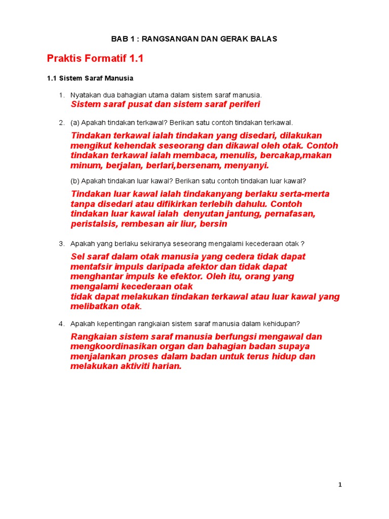 Praktis Formatif Bab 1 Pdf
