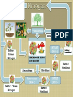 Daur Nitrogen PDF