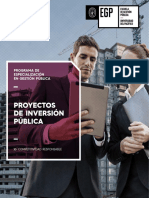 proyecto de inversión pública.pdf