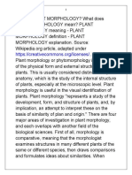 What is PLANT MORPHOLOGY.docx
