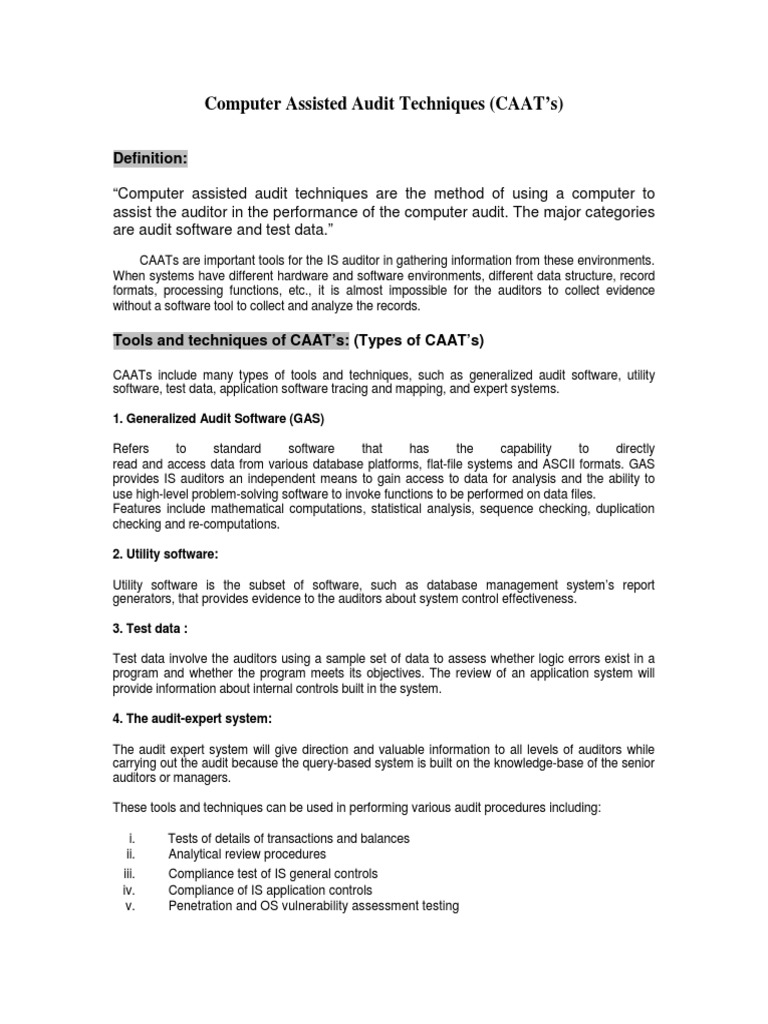 Overview of Computer Assisted Audit Techniques | PDF | Data | Computing