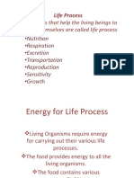 Life Process Nutrition