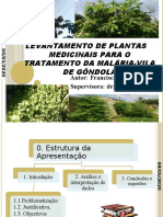 Plantas medicinais para tratar malária em Gôndola