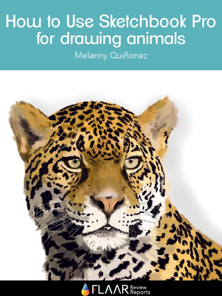 For Drawing Animals How To Use Sketchbook Pro PDF Art Media