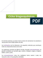 Ciclos Bio-Geoquímicos (Clase 6) PDF