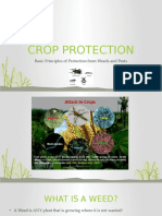 Crop Protection