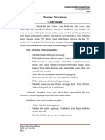 Arthropoda-Resume