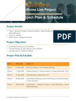 CultStone Live Project Schedule