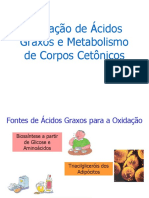 oxidaacidosgraxos Med_2010.ppt