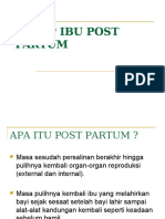 After Mid Askep Ibu Post Partum PX Slide 1-44