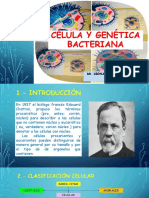 Celula Microbiana y Genetica Bacteriana 2