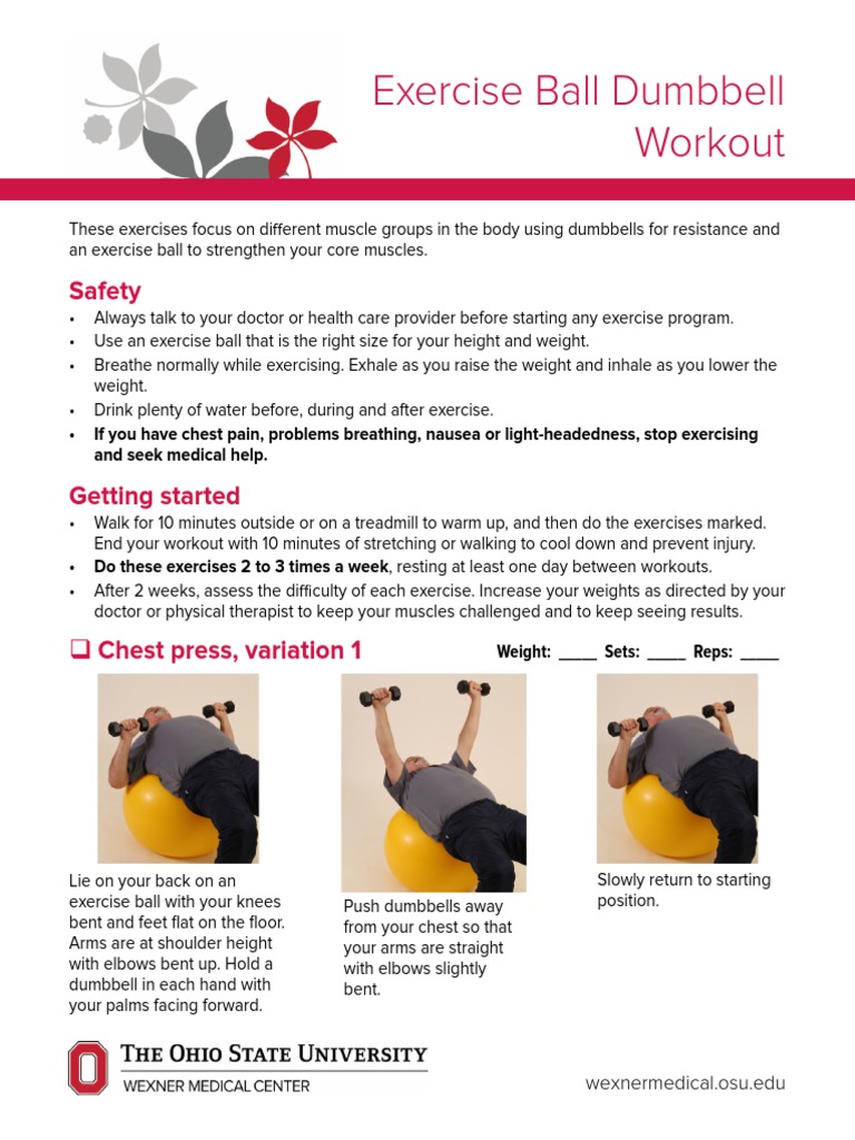 Exercise Ball Dumbbell Workout Safety PDF Musculoskeletal System