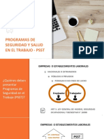 PSST presentacion.pdf