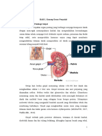 Tu Renal LP