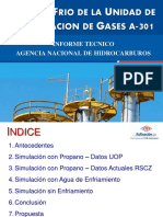 Informe ANH PDF