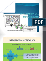 Integración metabólica y adaptaciones al ayuno