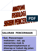 Anfis Sistem Pencernaan