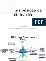 Hibridación AB 201920