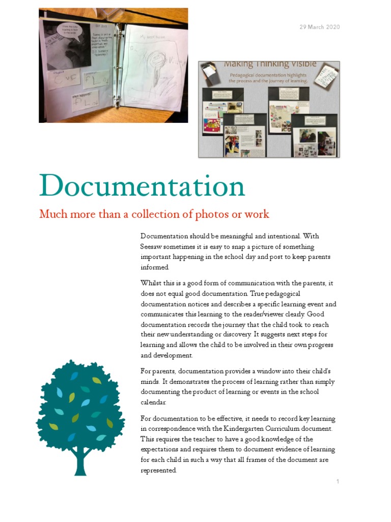 Effective Pedagogical Documentation Guide | PDF
