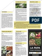 Triptico Papa PDF