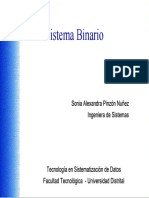 SISTEMA BINARIO.pdf