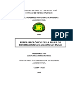 CLASE_A_CATEGORÍA_IIB - NUEVO.pdf