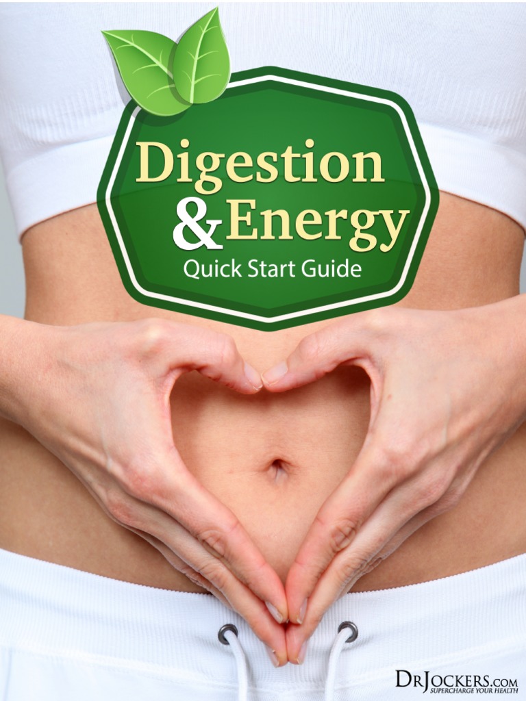 HEALTHYDIGESTIONANDENERGY2017 | PDF | Fermentation In Food Processing ...