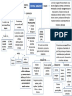 Mapa Conceptual Sistema Nervioso