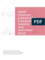 01 IWGDF Practical Guidelines 2019.en - Es