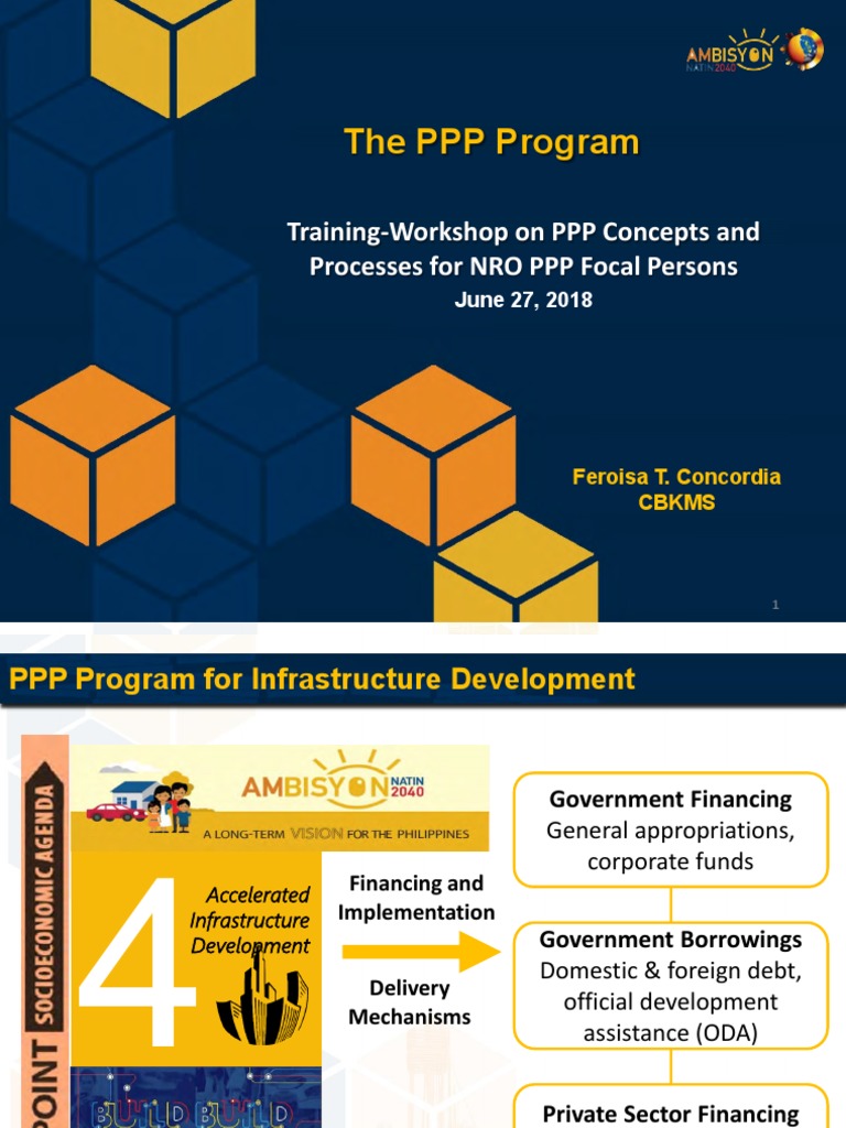 PPP Program Training Workshop Overview | PDF | Public–Private ...