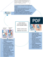 Ciclo Cardiaco