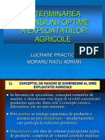 Determinarea Dimensiunii Optime A Exploatatiilor Agricole: Lucrare Practica Moraru Radu-Adrian