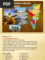 Region 11 | PDF | Nature