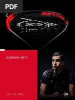 BadBro 2012 UK | PDF | Fullerene | Titanium