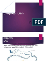 Ekspresi Gen (Fafa Chrisnandy D1A019085)