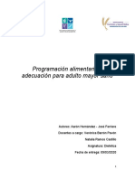 Informe Programación y Adecuación Adulto Mayor (Hernandez-Ferriere)